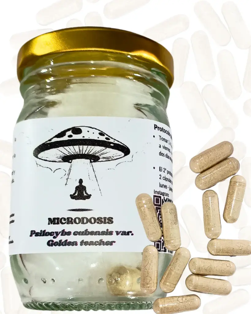 Microdosis Psilocybe cubensis var. Golden teacher // 150 mg x 24 cápsulas 