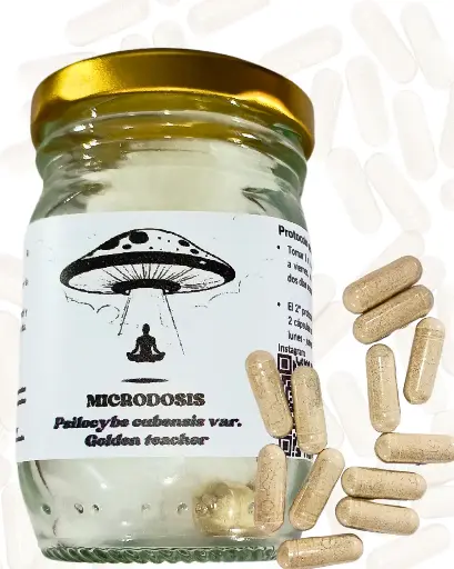 Microdosis Psilocybe cubensis var. Golden teacher // 150 mg x 24 cápsulas 